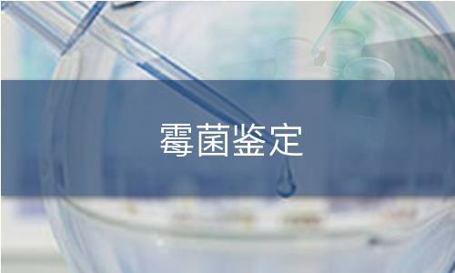 霉菌鑒定