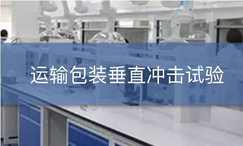 運(yùn)輸包裝垂直沖擊試驗(yàn)