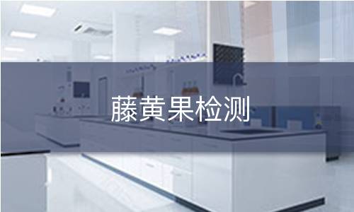 藤黃果檢測