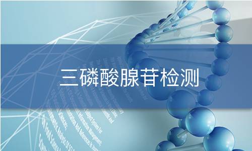 三磷酸腺苷檢測